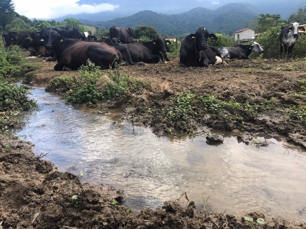 Fazenda de 100 ha em Resende, RJ