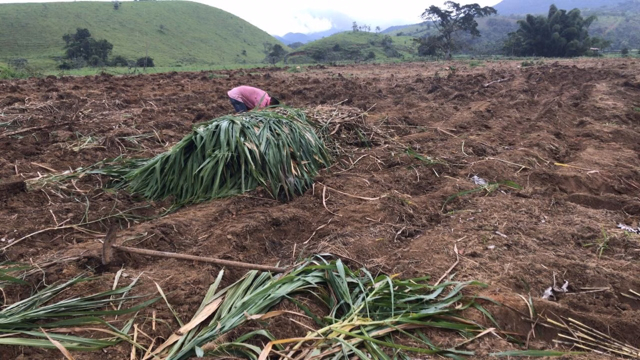 Fazenda de 100 ha em Resende, RJ
