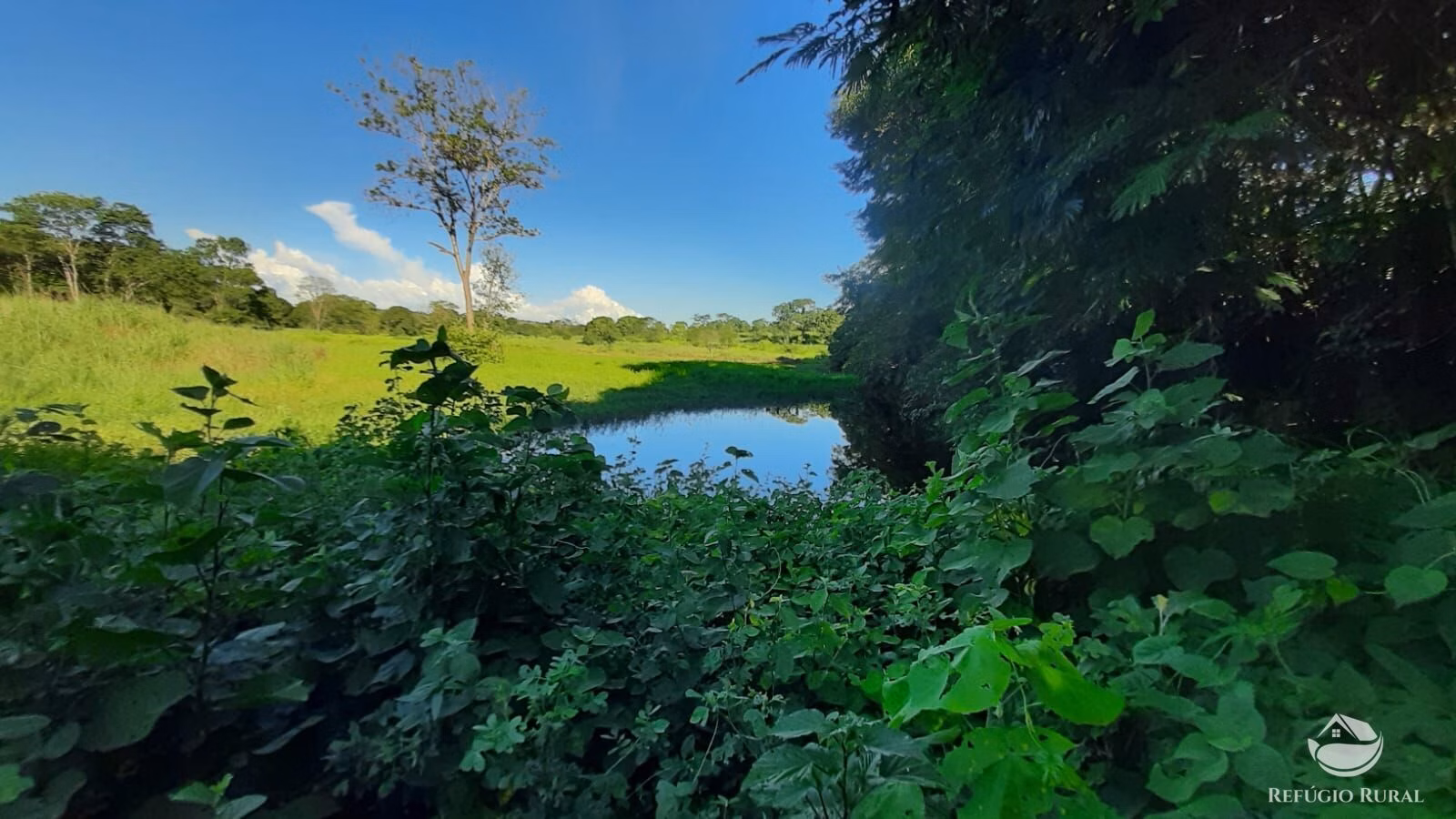 Farm of 1,016 acres in Buritizeiro, MG, Brazil