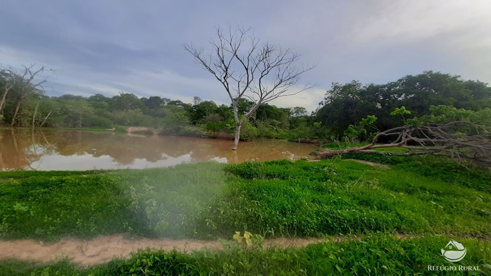 Farm of 1,016 acres in Buritizeiro, MG, Brazil