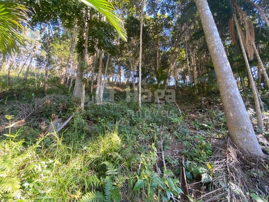 Chácara de 1 ha em Canelinha, SC