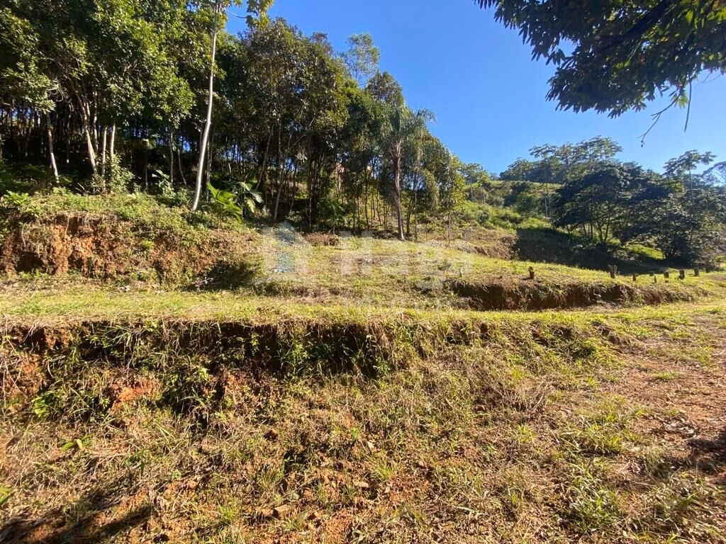Chácara de 1 ha em Canelinha, SC