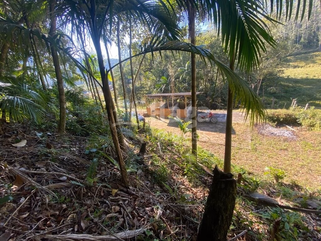 Chácara de 1 ha em Canelinha, SC