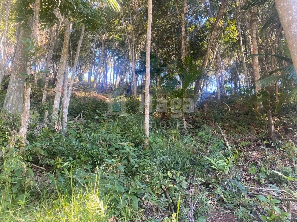 Chácara de 1 ha em Canelinha, SC