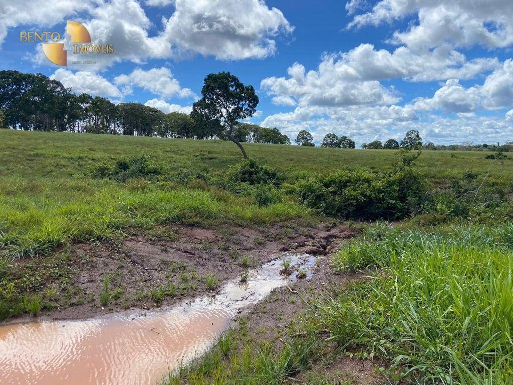Fazenda de 100 ha em Pimenta Bueno, RO