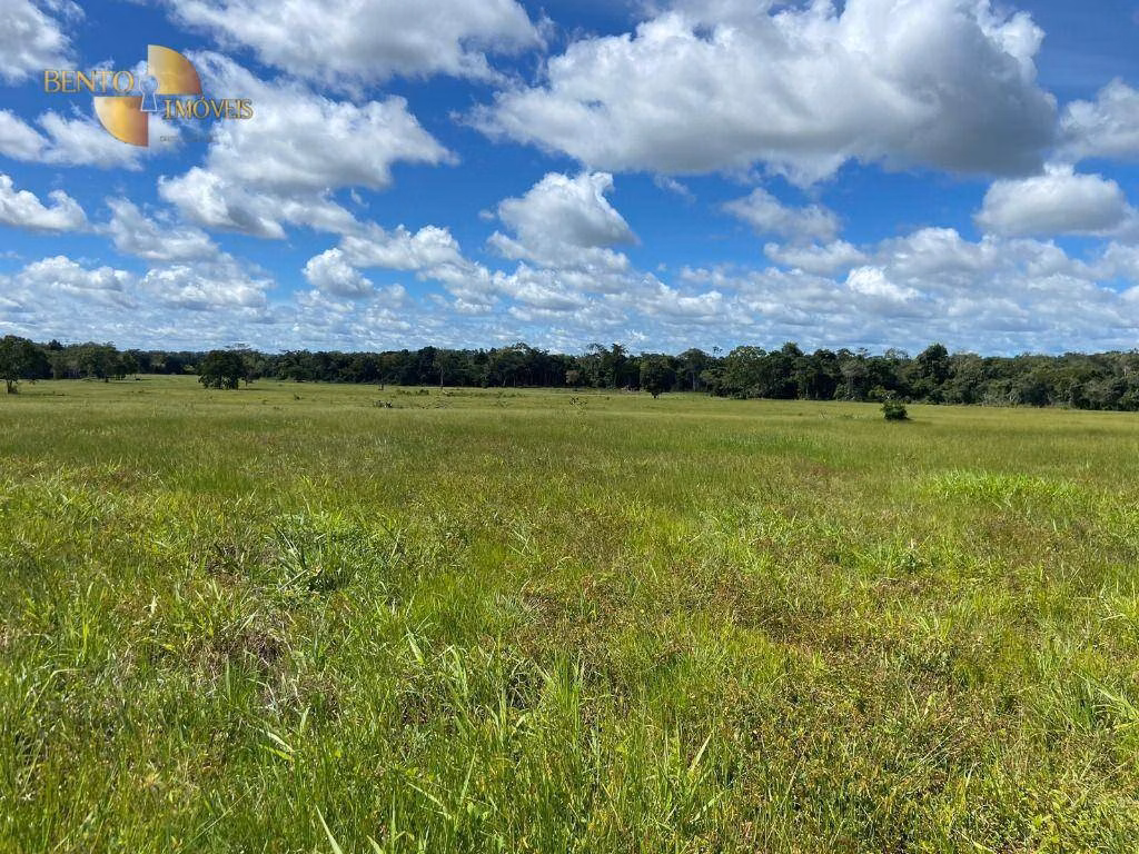 Fazenda de 100 ha em Pimenta Bueno, RO