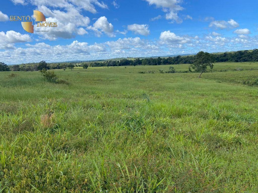 Fazenda de 100 ha em Pimenta Bueno, RO