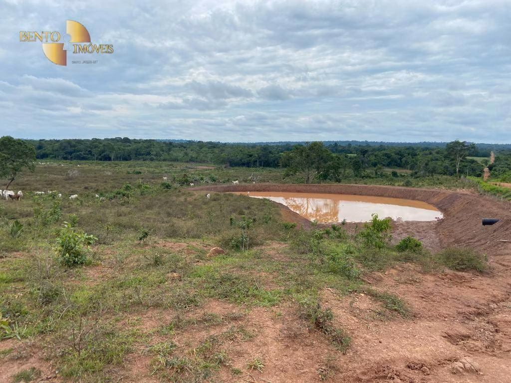Fazenda de 100 ha em Pimenta Bueno, RO