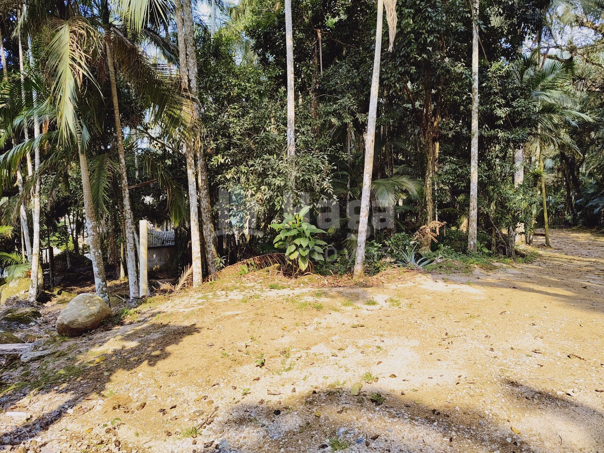 Chácara de 6.600 m² em Guabiruba, SC