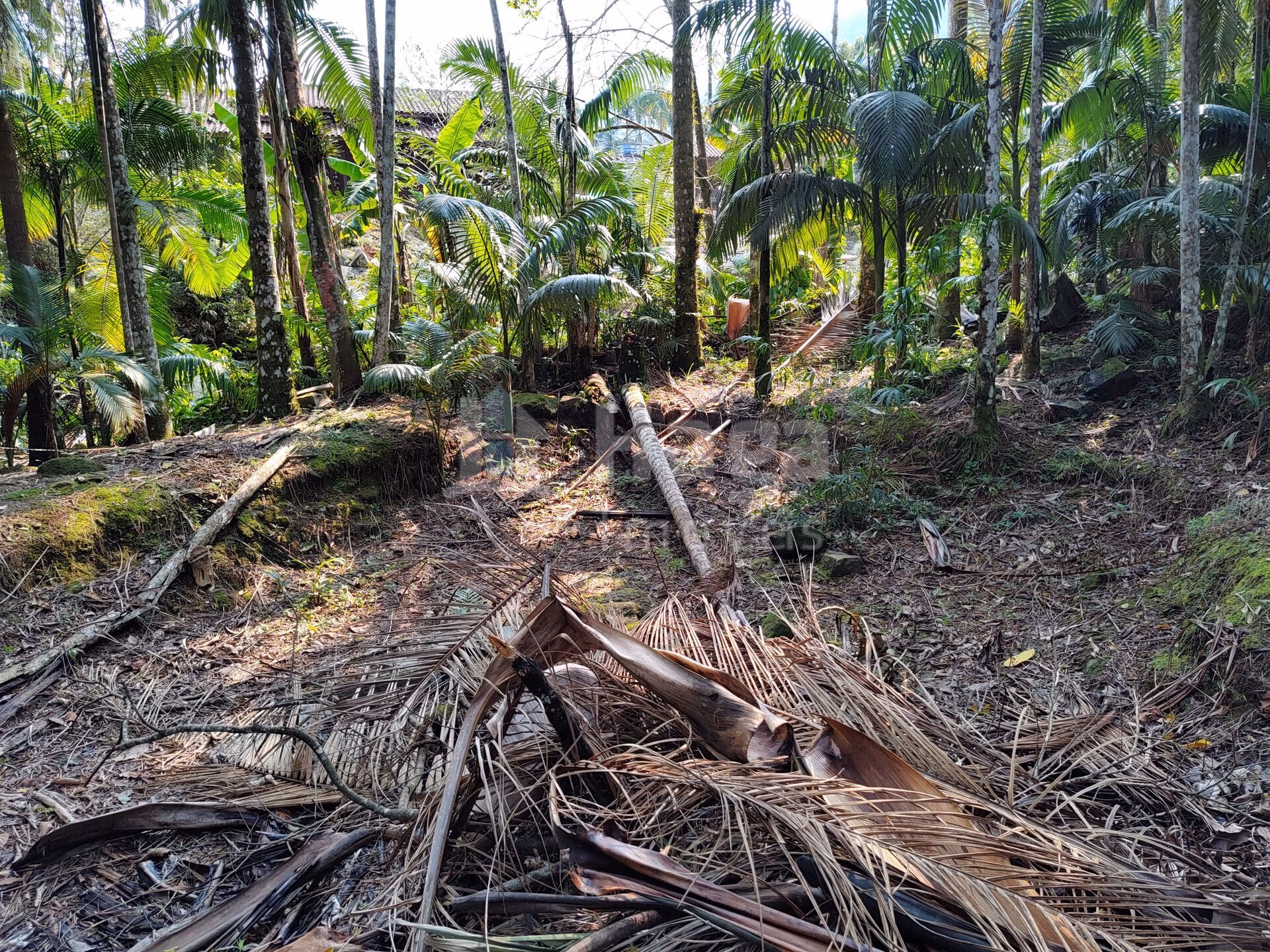 Chácara de 6.600 m² em Guabiruba, SC