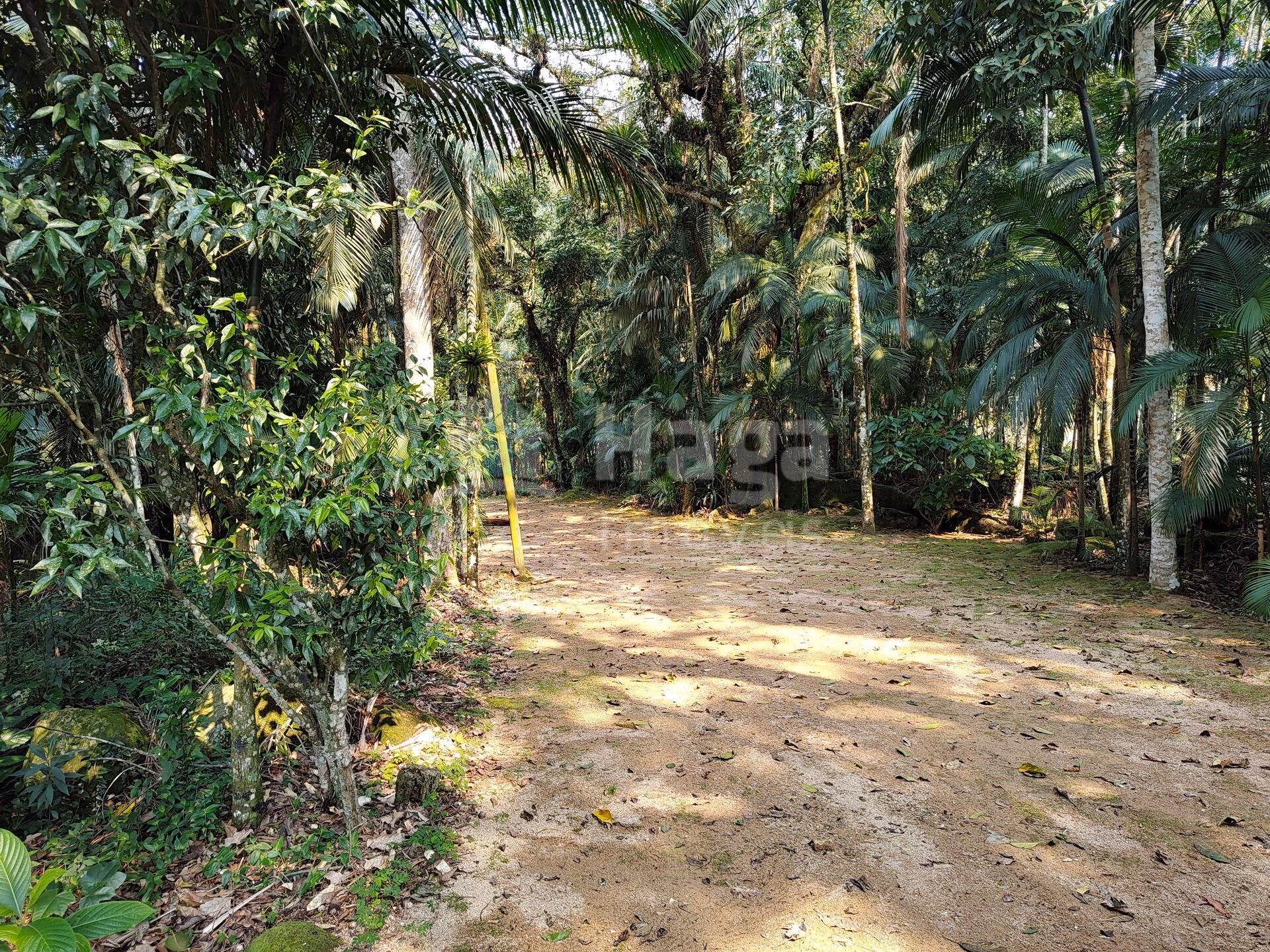 Chácara de 6.600 m² em Guabiruba, SC