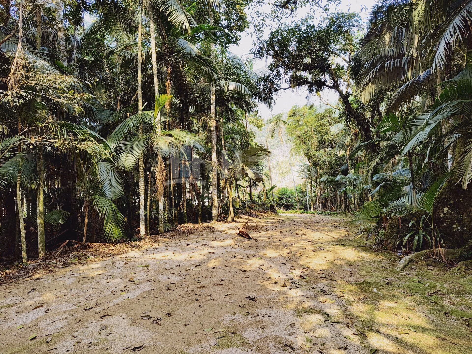 Chácara de 6.600 m² em Guabiruba, SC