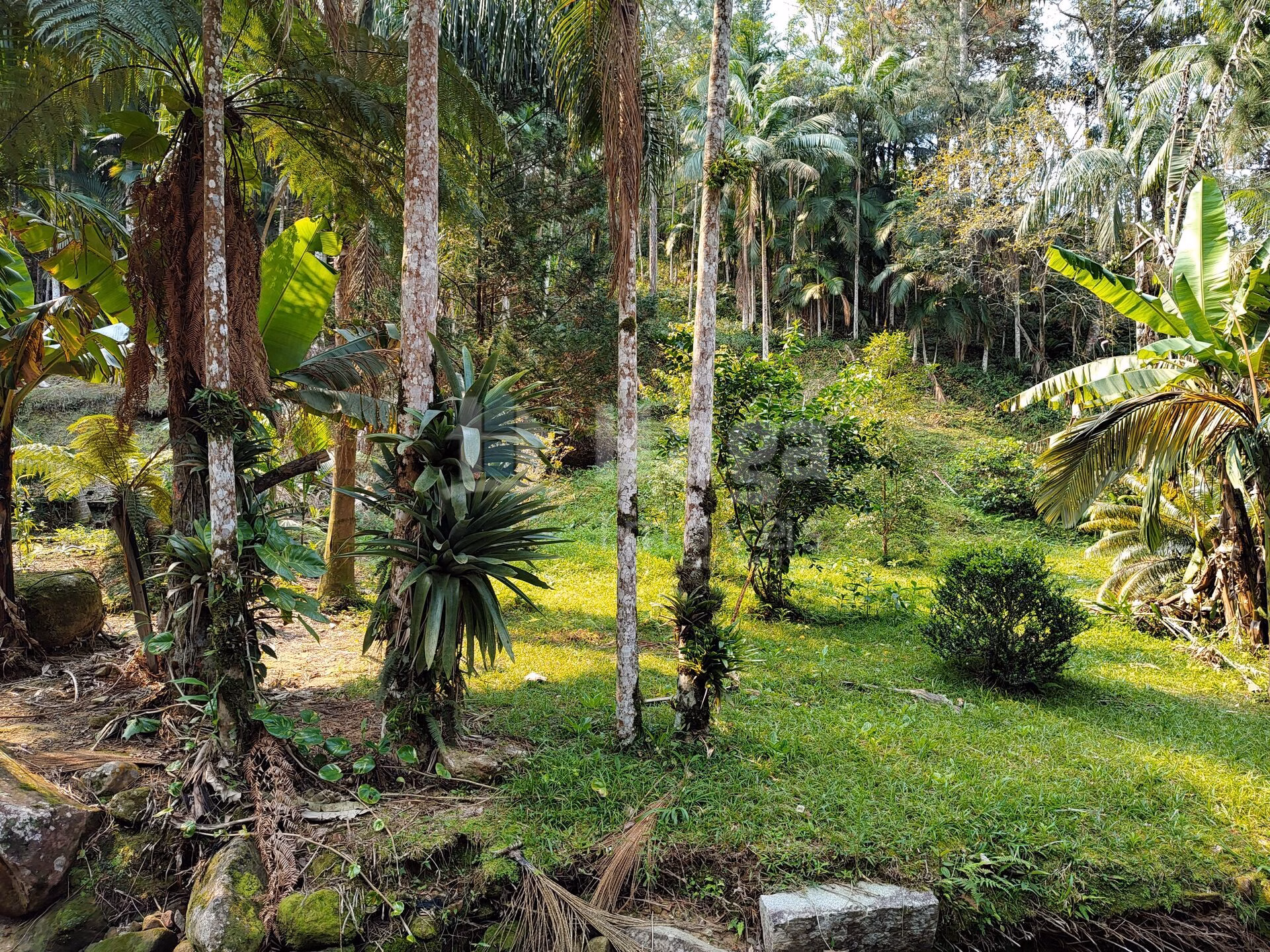 Chácara de 6.600 m² em Guabiruba, SC