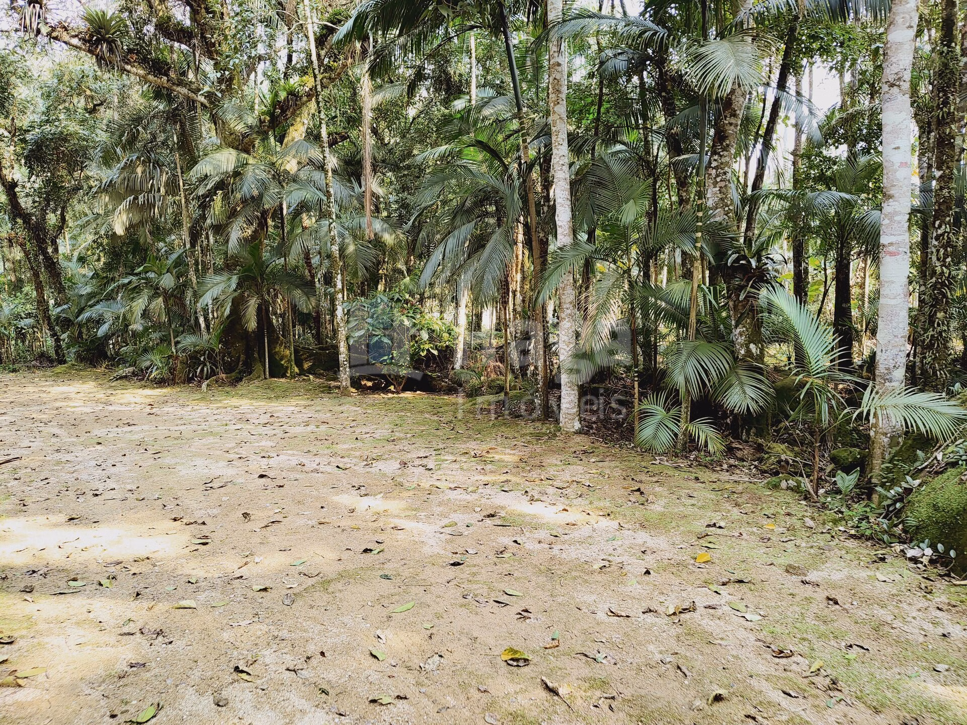 Chácara de 6.600 m² em Guabiruba, SC