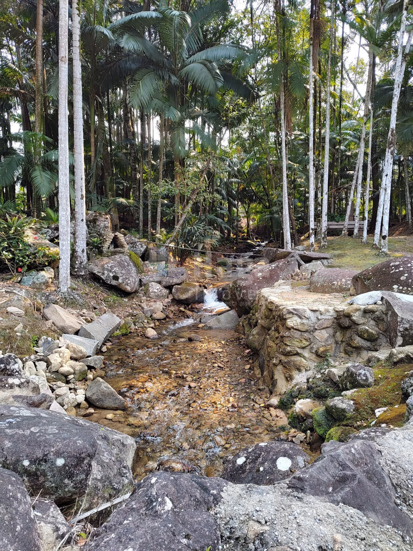 Chácara de 6.600 m² em Guabiruba, SC