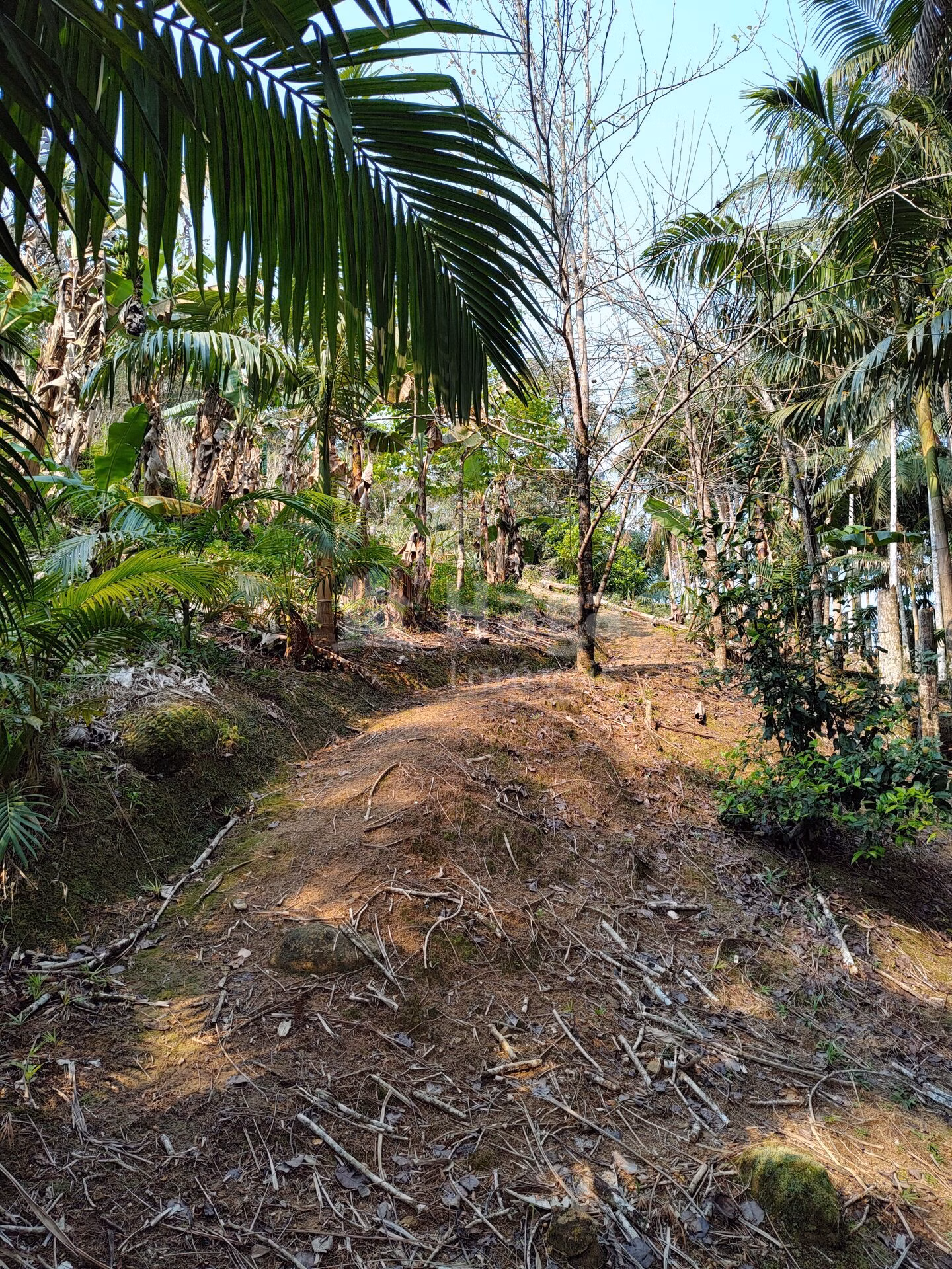 Chácara de 6.600 m² em Guabiruba, SC
