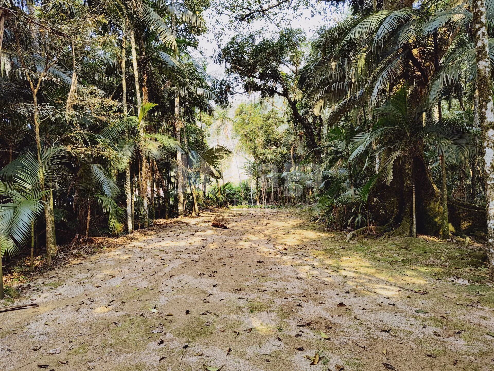 Chácara de 6.600 m² em Guabiruba, SC