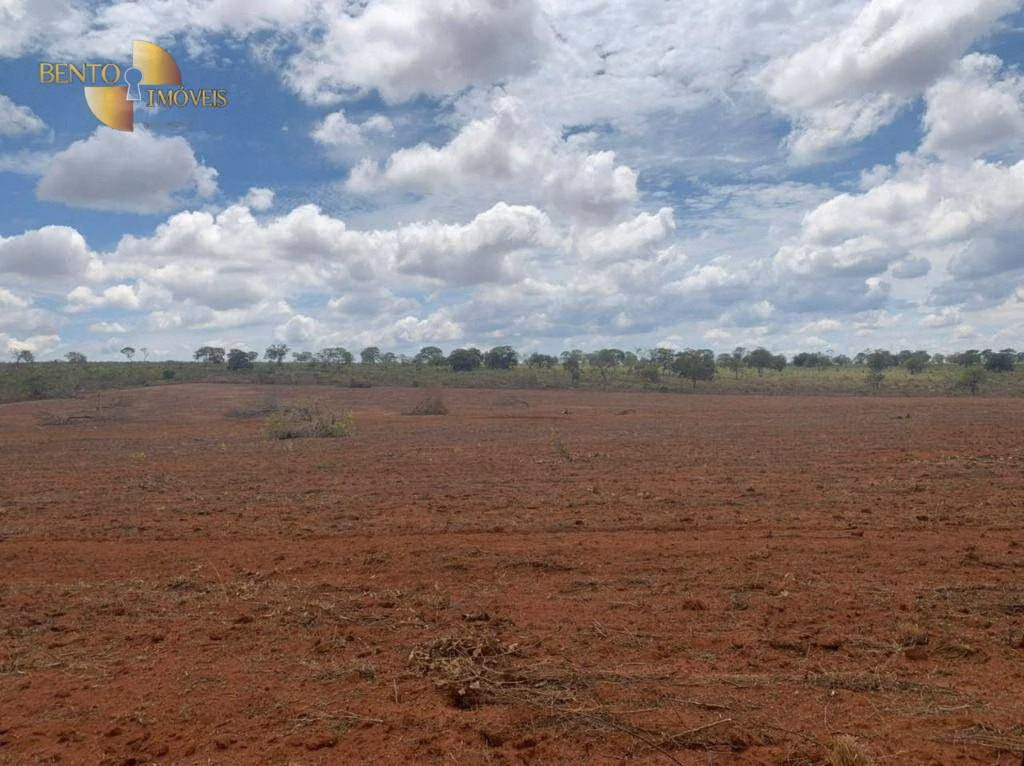 Fazenda de 1.350 ha em Juscimeira, MT