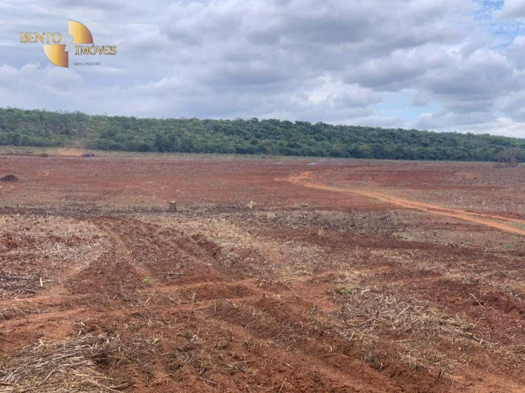 Fazenda de 1.350 ha em Juscimeira, MT