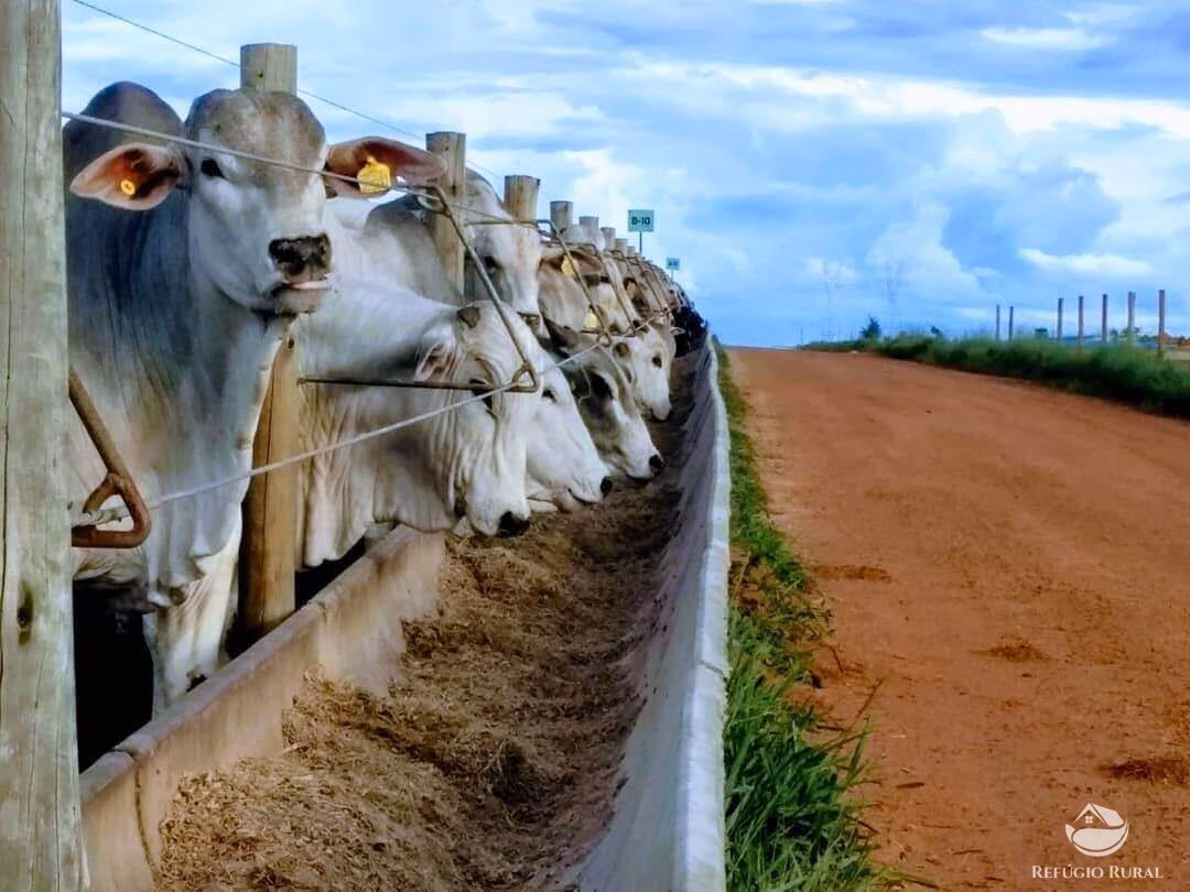 Fazenda de 29.200 ha em Aruanã, GO