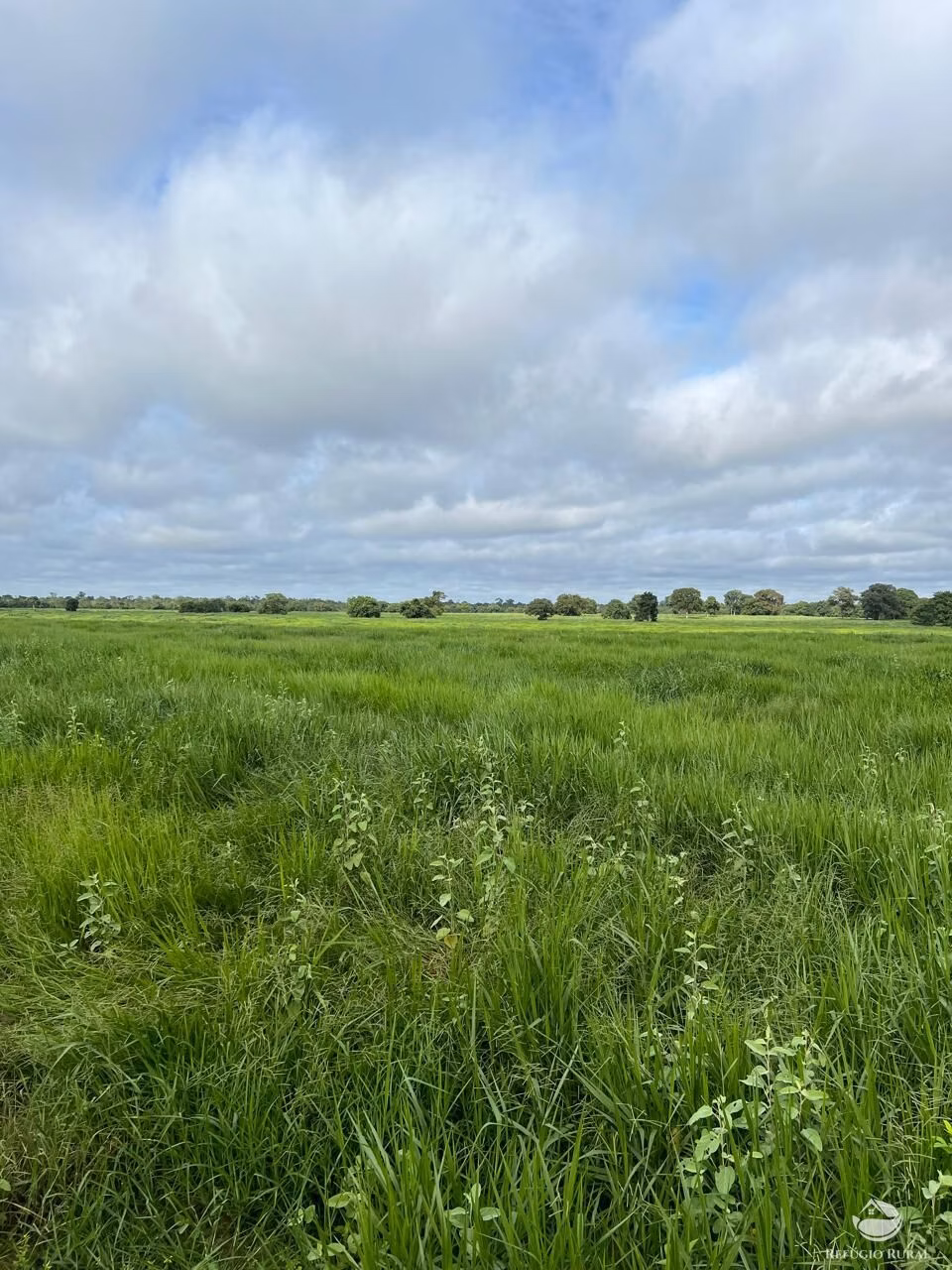 Fazenda de 4.191 ha em Cocalinho, MT