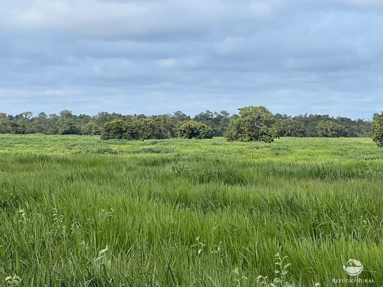 Fazenda de 4.191 ha em Cocalinho, MT