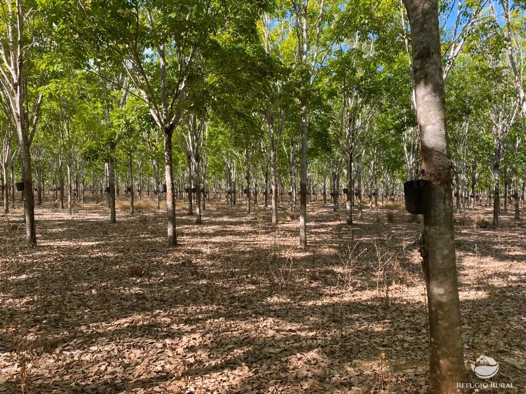 Fazenda de 4.191 ha em Cocalinho, MT