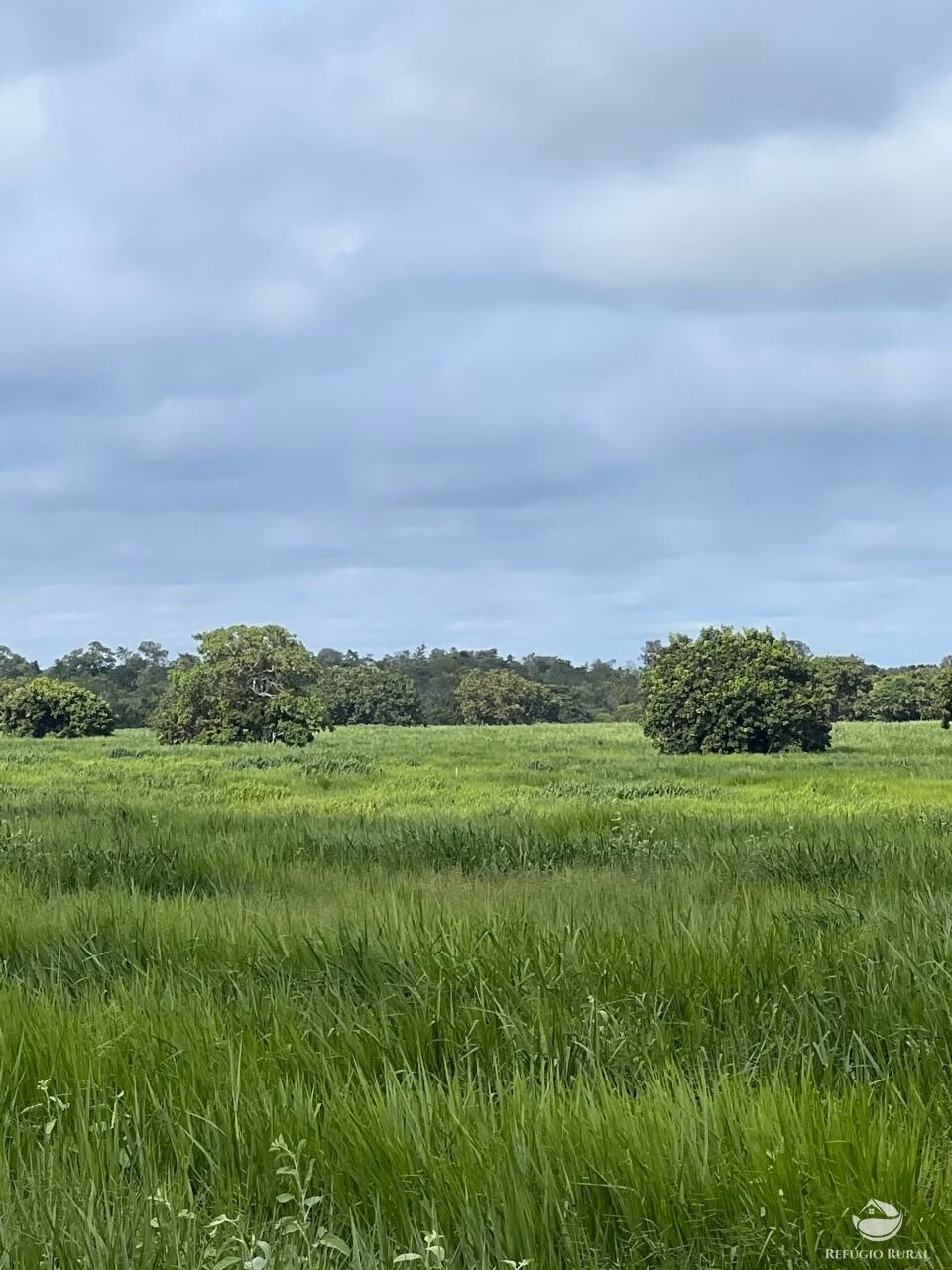 Fazenda de 4.191 ha em Cocalinho, MT