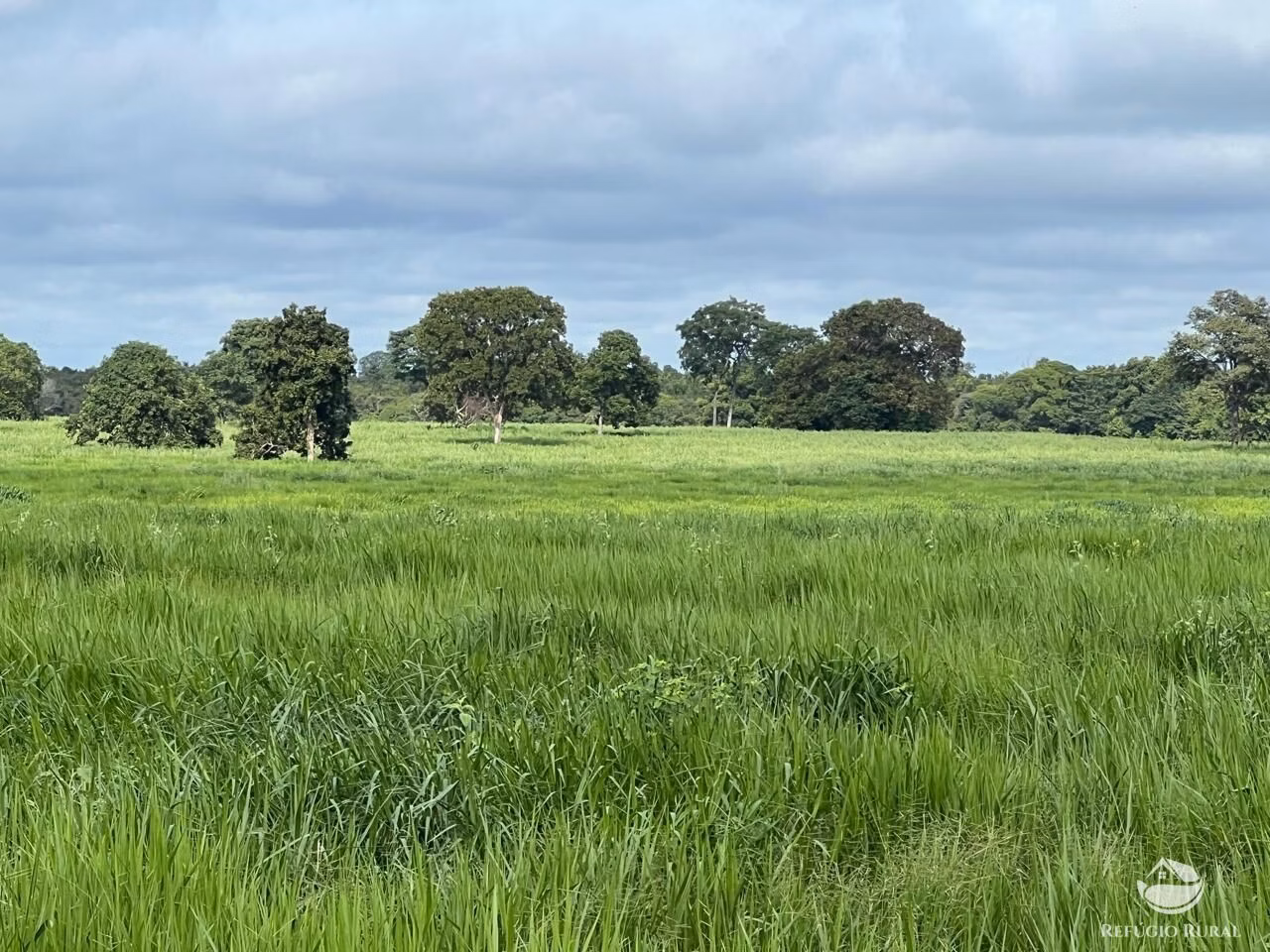 Fazenda de 4.191 ha em Cocalinho, MT