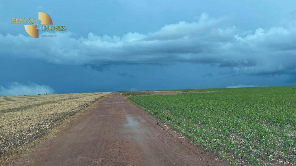 Fazenda de 7.400 ha em Nova Mutum, MT