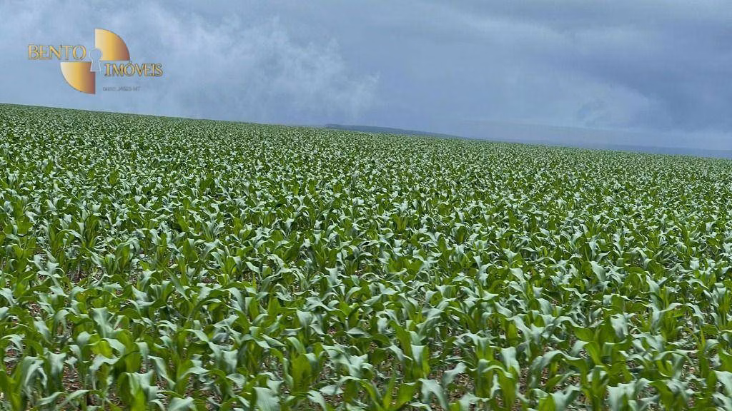 Fazenda de 7.400 ha em Nova Mutum, MT