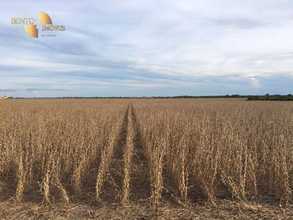 Fazenda de 6.580 ha em Cocalinho, MT