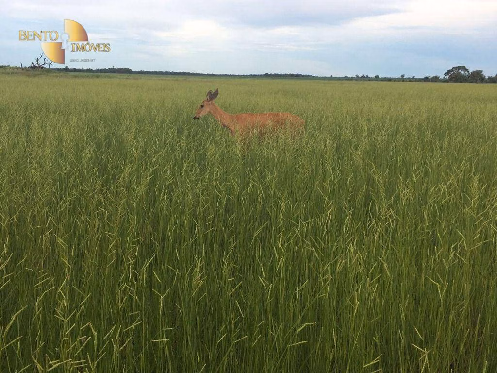 Fazenda de 6.580 ha em Cocalinho, MT