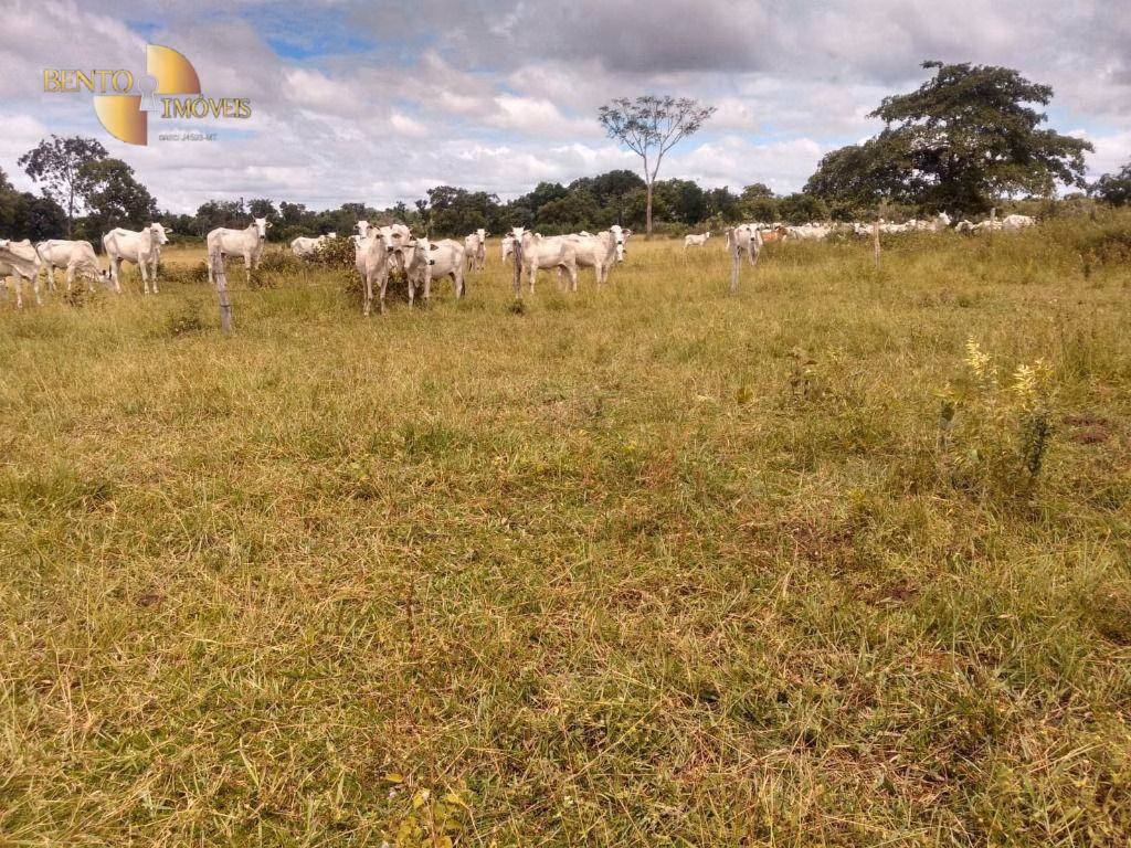 Fazenda de 1.600 ha em Várzea Grande, MT