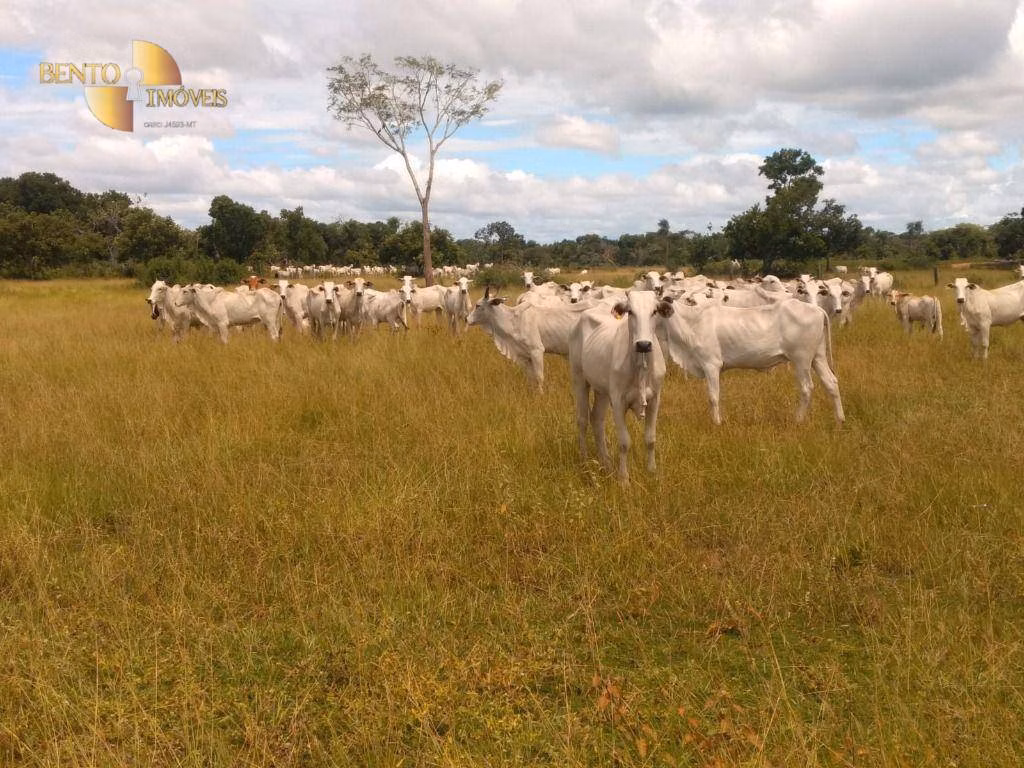 Fazenda de 1.600 ha em Várzea Grande, MT