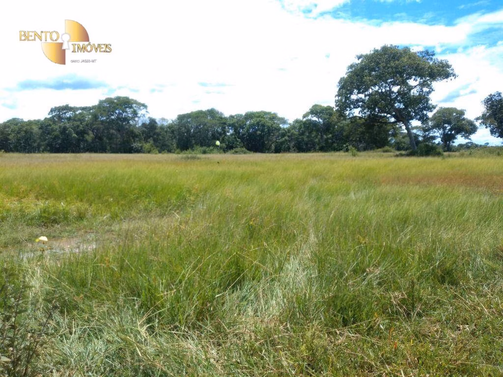 Fazenda de 1.600 ha em Várzea Grande, MT