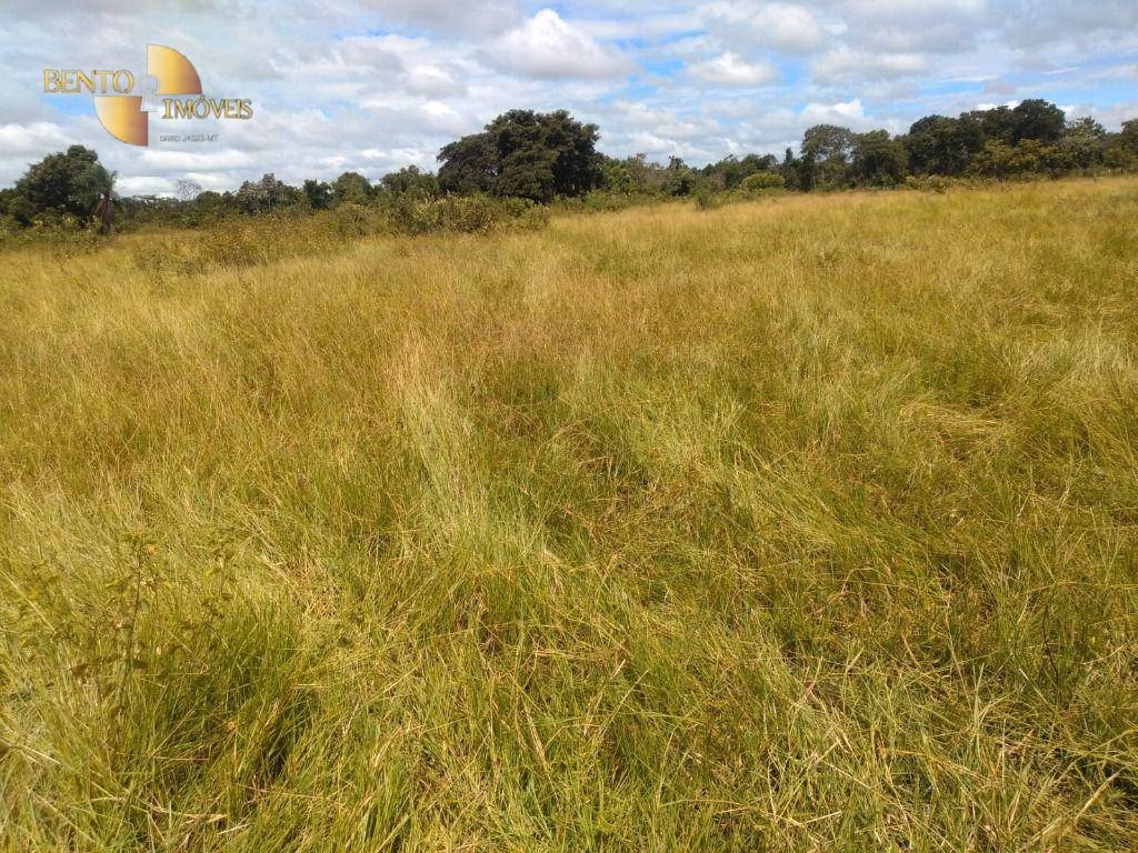 Fazenda de 1.600 ha em Várzea Grande, MT