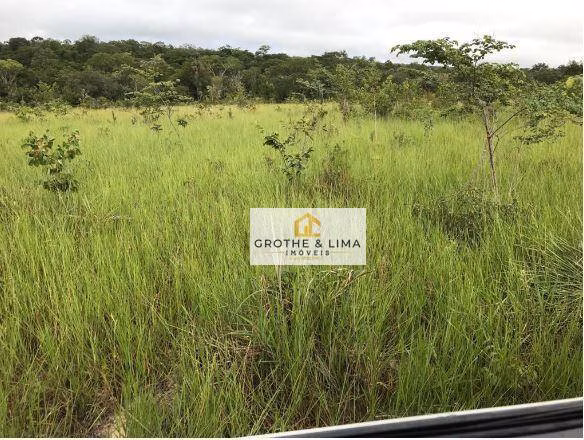 Fazenda de 5.038 ha em Recursolândia, TO