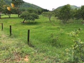 Fazenda de 288 ha em Cáceres, MT