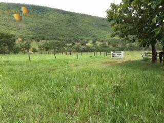 Fazenda de 288 ha em Cáceres, MT