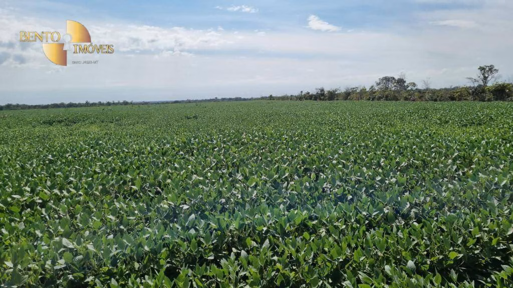 Fazenda de 4.033 ha em Porto Alegre do Norte, MT