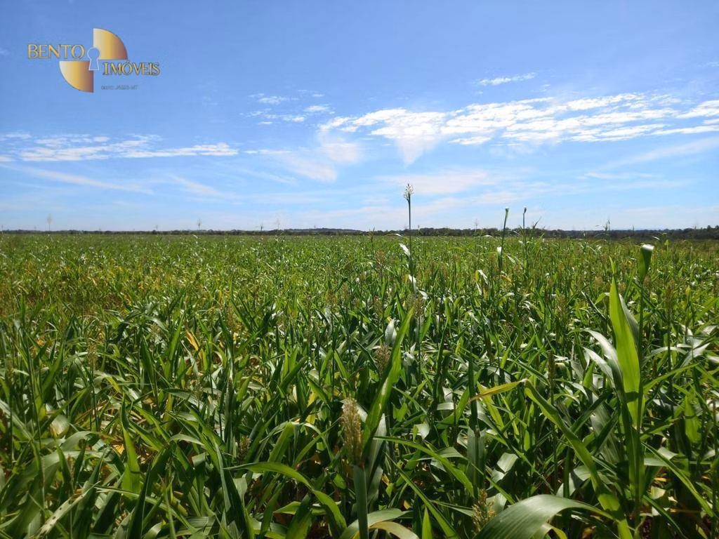 Fazenda de 4.033 ha em Porto Alegre do Norte, MT