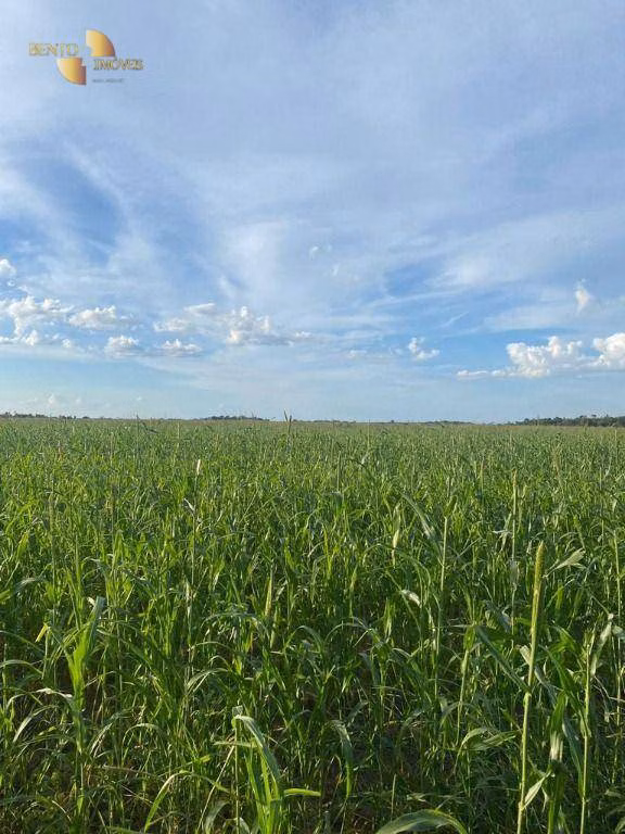 Fazenda de 4.033 ha em Porto Alegre do Norte, MT