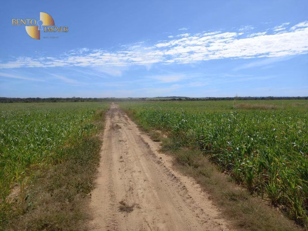Fazenda de 4.033 ha em Porto Alegre do Norte, MT