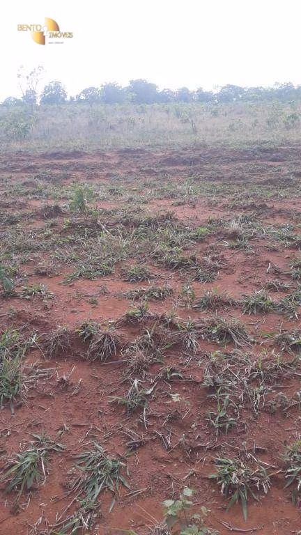 Fazenda de 680 ha em Rondonópolis, MT