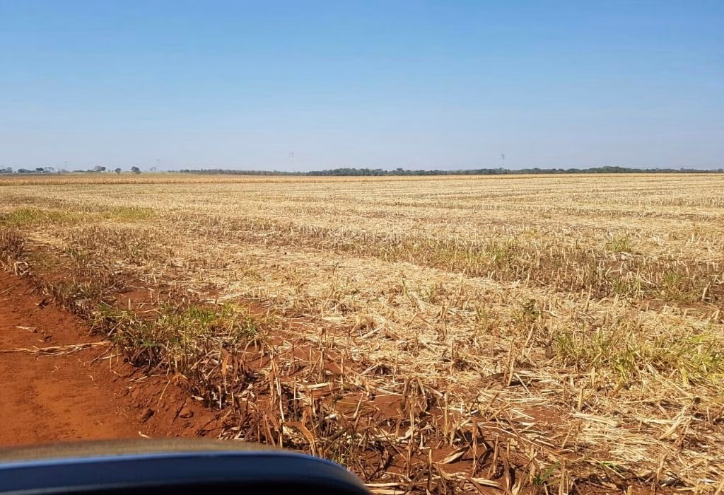 Fazenda de 320 ha em Jangada, MT
