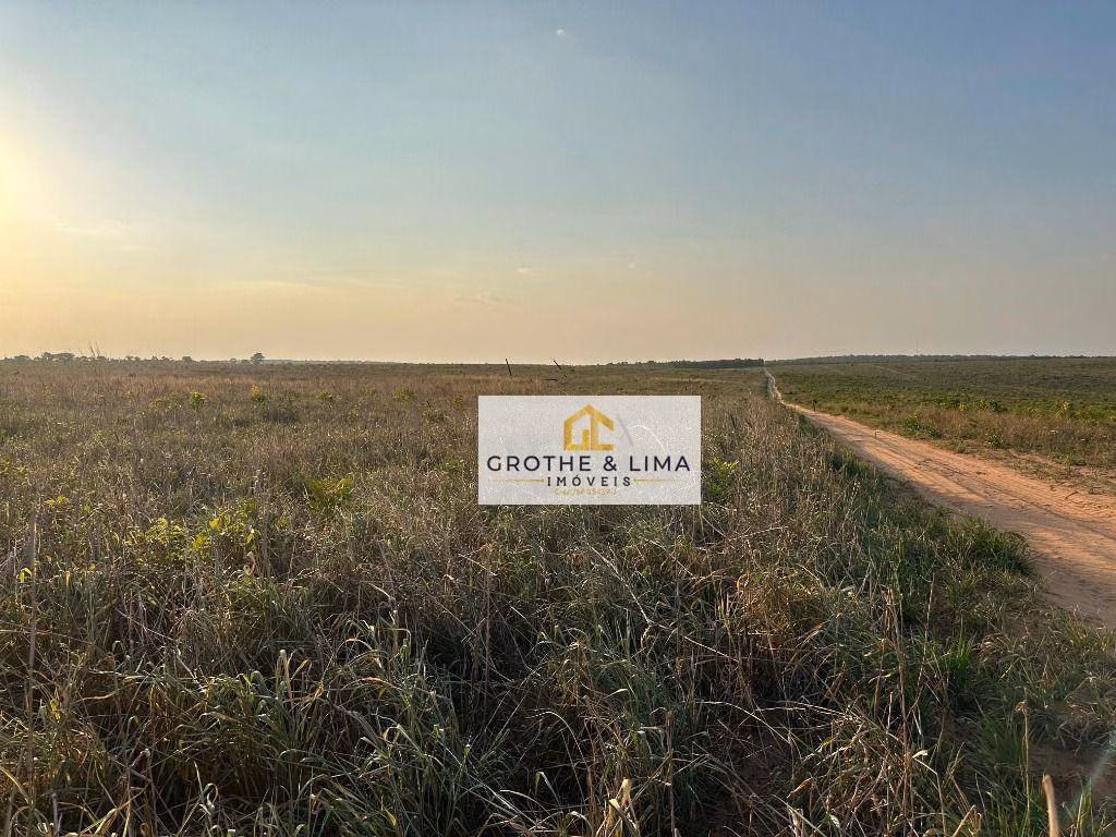 Fazenda de 1.210 ha em Araguaína, TO