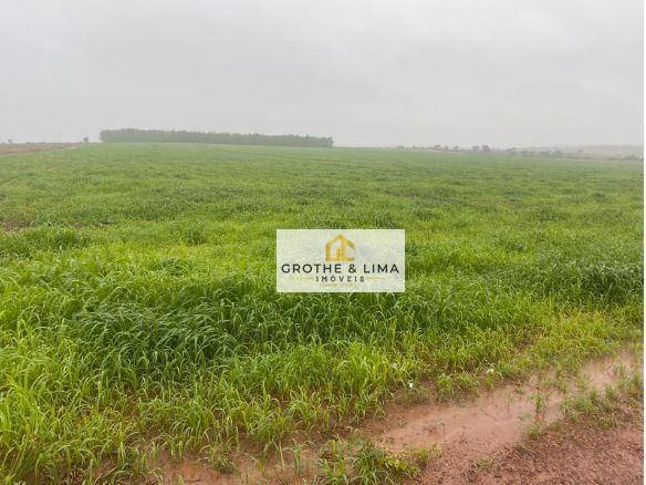 Fazenda de 1.210 ha em Araguaína, TO