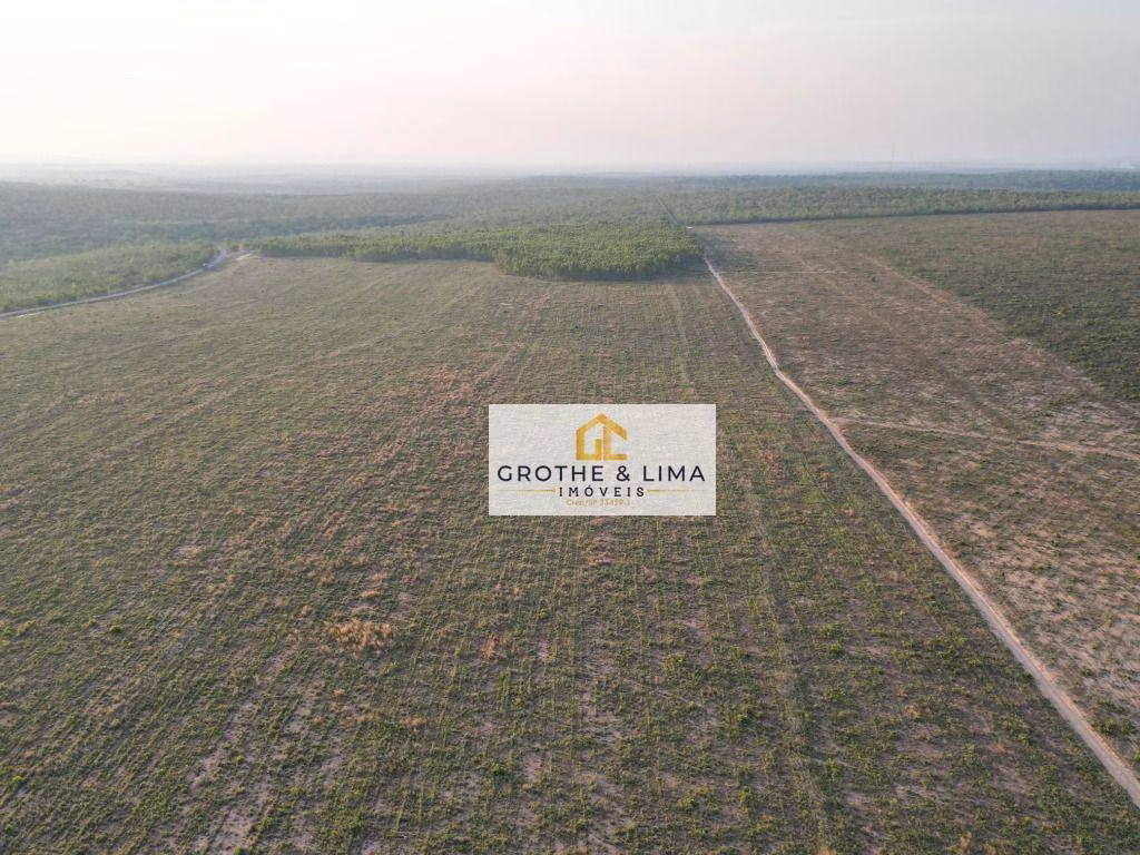 Fazenda de 1.210 ha em Araguaína, TO