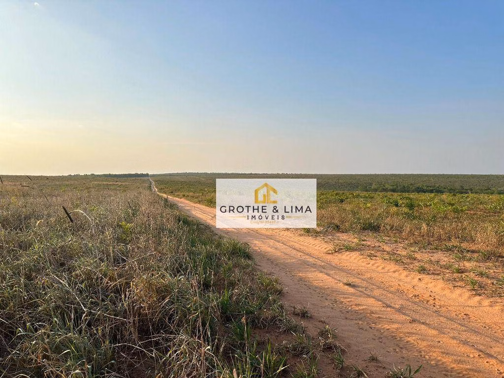 Fazenda de 1.210 ha em Araguaína, TO